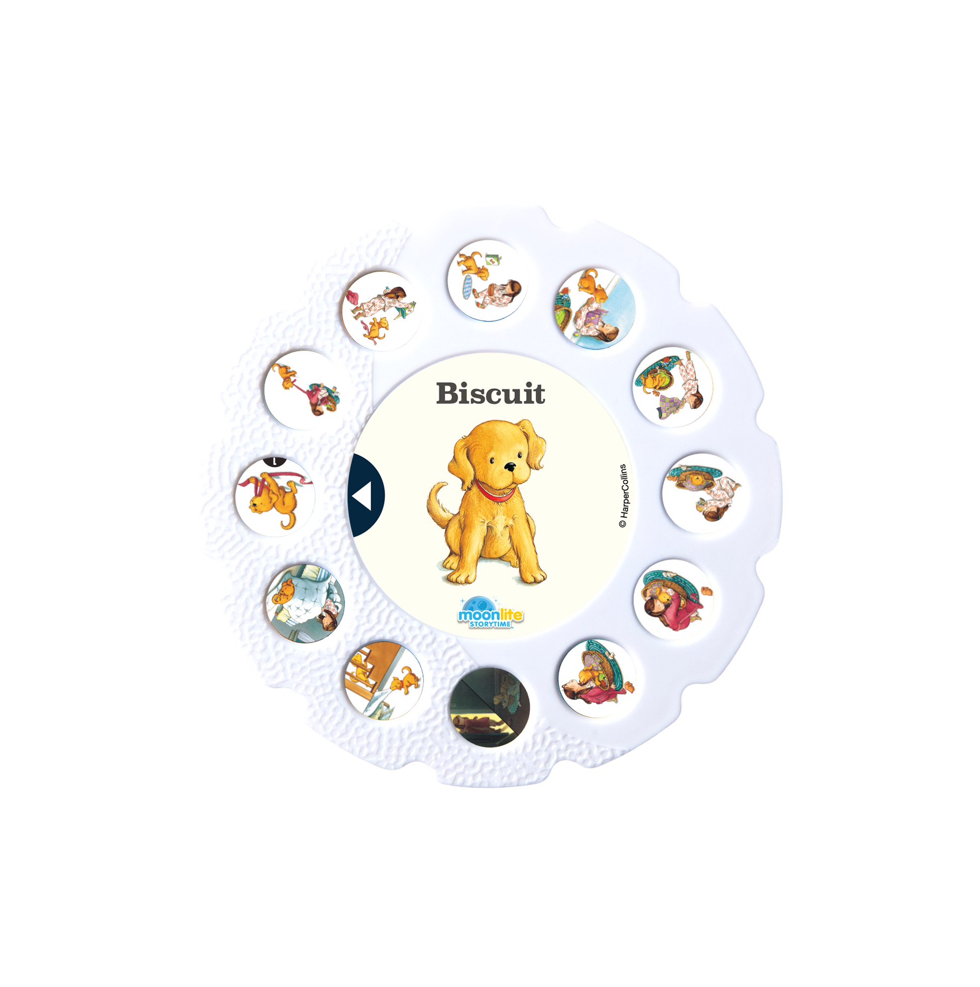 Biscuit picture disc