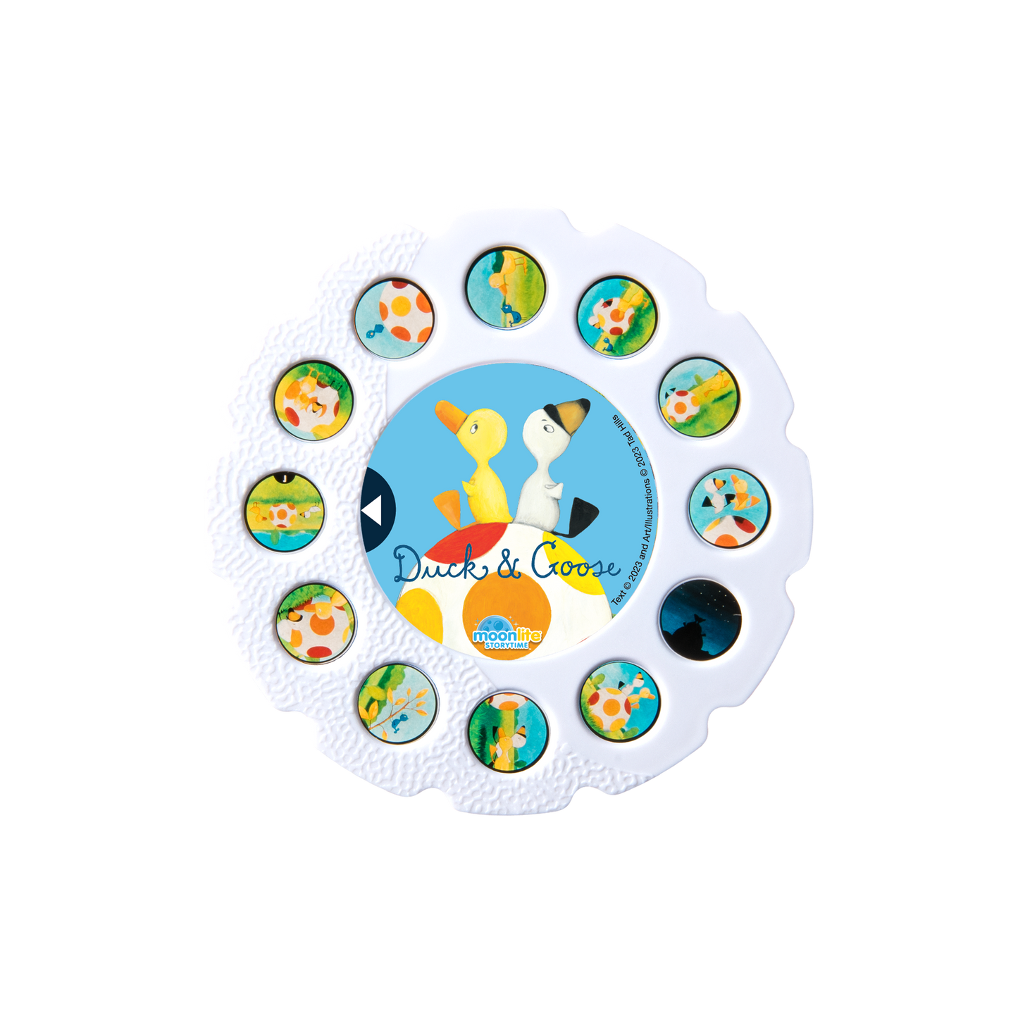 Duck and Goose picture disc