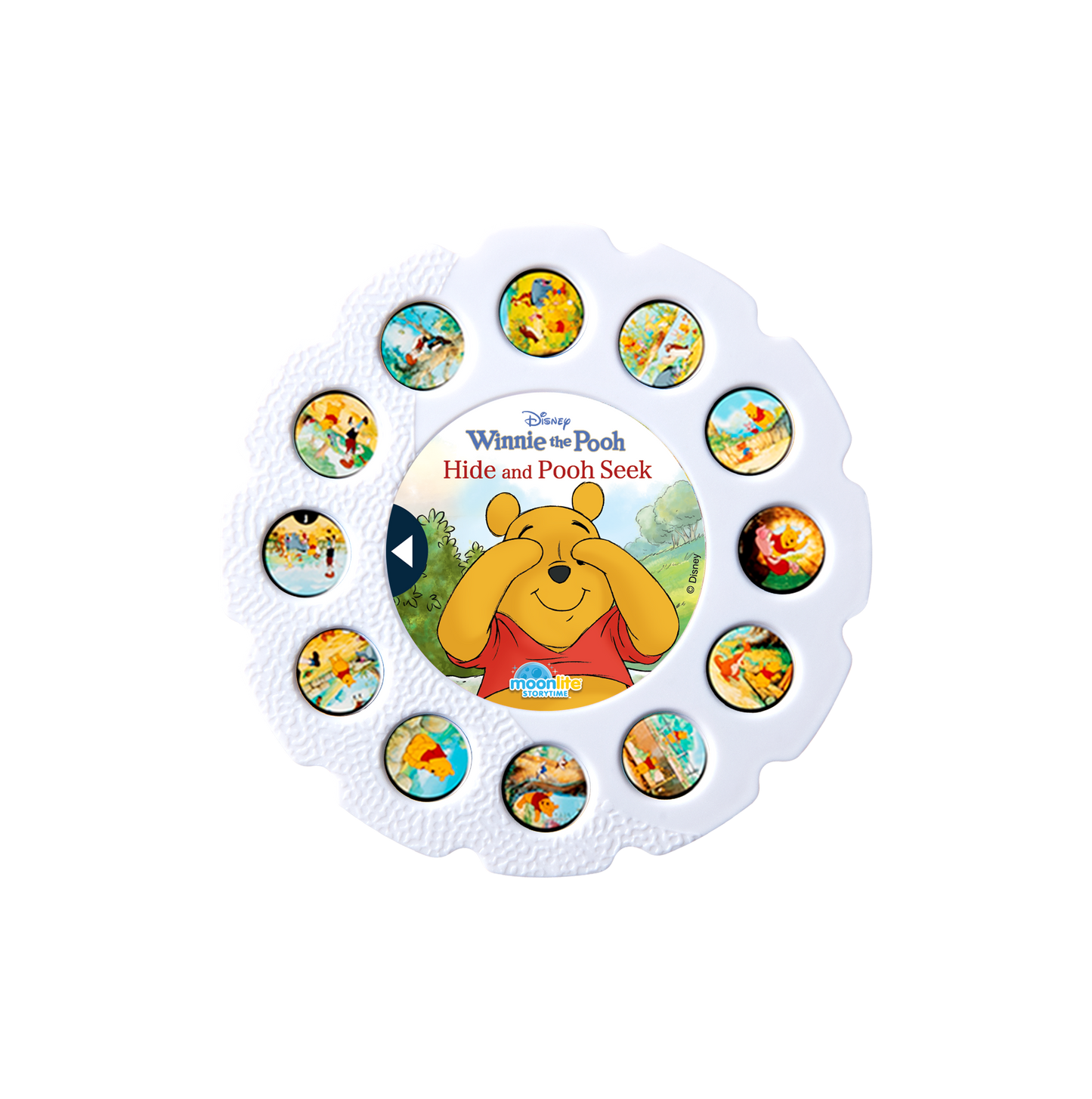 Disney Winnie the Pooh: Hide and Pooh Seek