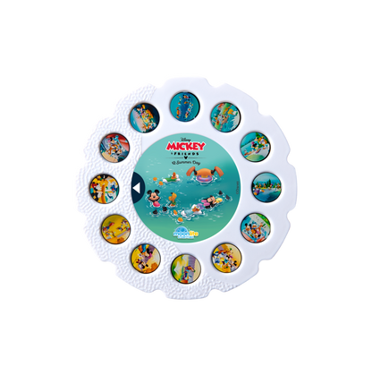 Disney Mickey  Friends A Summer Day picture disc