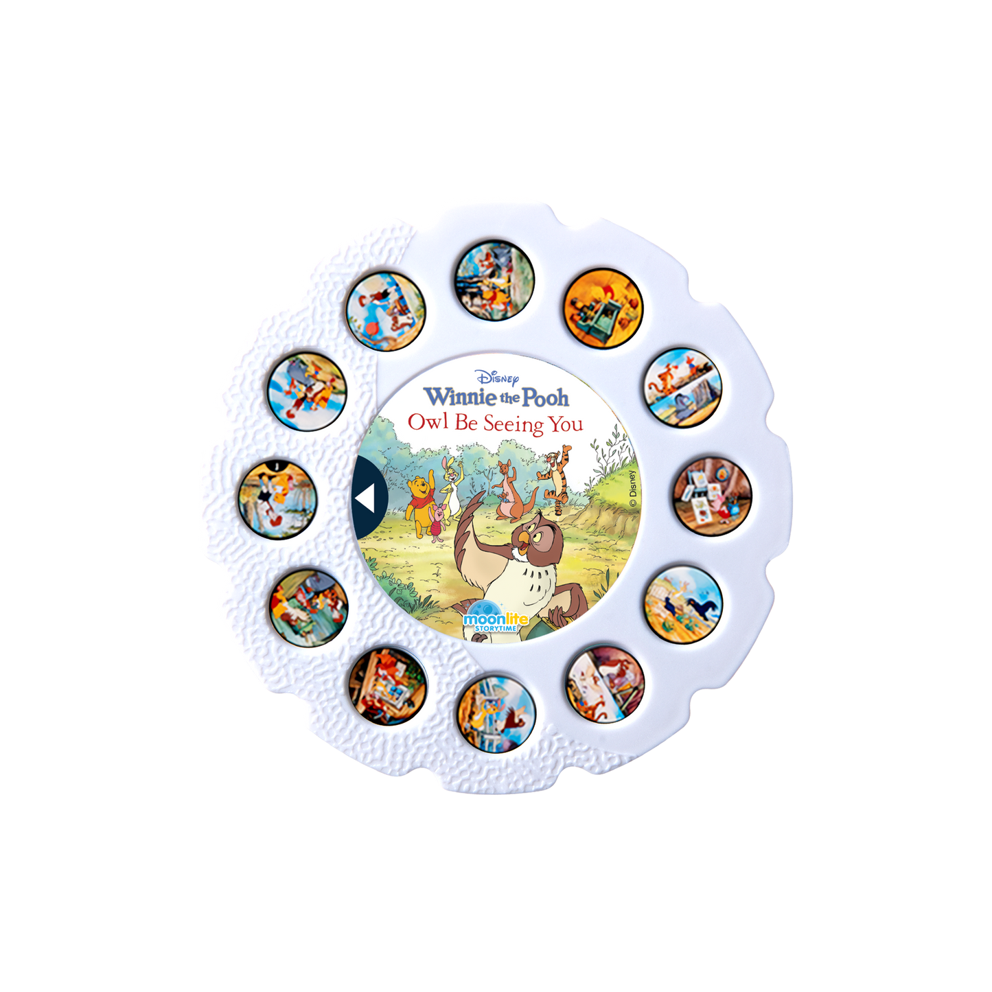 Winnie the Pooh Owl Be Seeing You Single Story