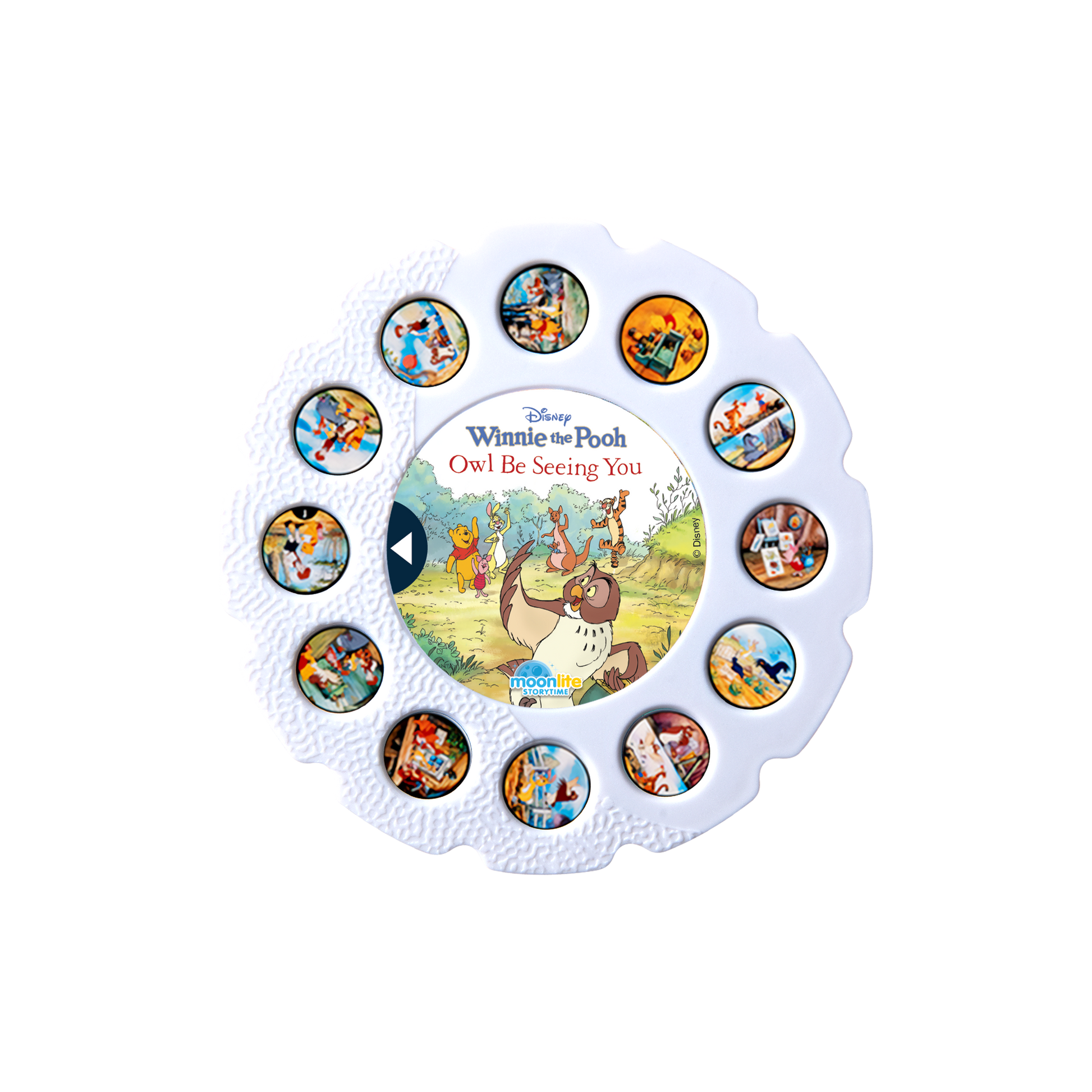 Winnie the Pooh Owl Be Seeing You Single Story